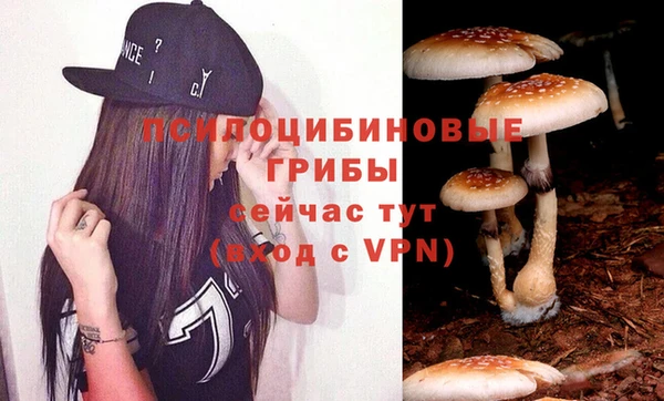 дживик Баксан