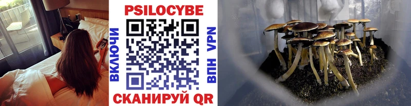 Псилоцибиновые грибы ЛСД  купить закладку  мега онион  Лебедянь 