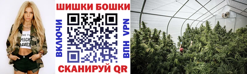 купить наркоту  Лебедянь  Шишки марихуана White Widow 